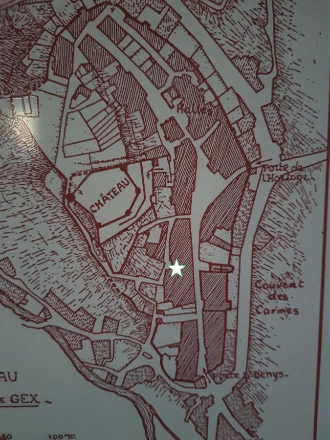 Hebergeneve : Aux Pieds Du Chateau Gex Bagian luar foto