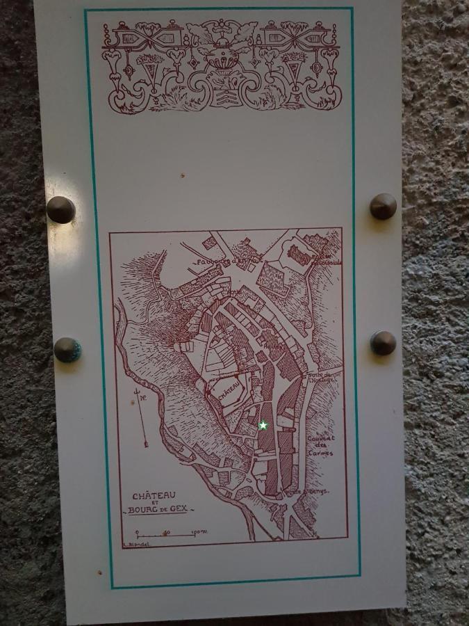 Hebergeneve : Aux Pieds Du Chateau Gex Bagian luar foto